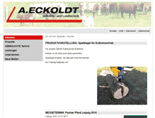 Tablet Screenshot of eckoldt.com